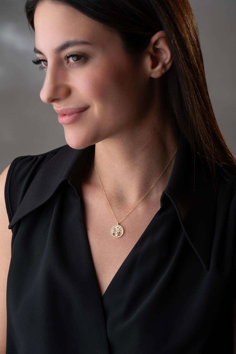 Heliophilia Silver Collar de Plata Esterlina 925 con Circonio Dorado